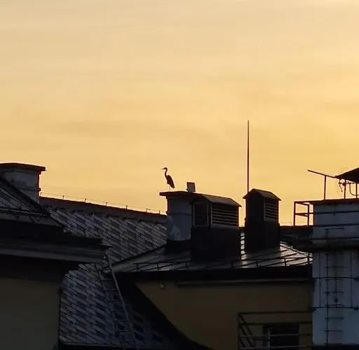 Saapartman Apartman Sarajevo